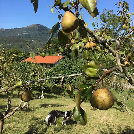 Villa Rural Cantabria *