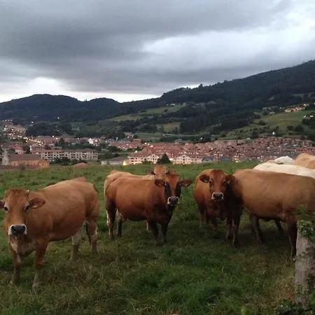 Rural Cantabria וילה *