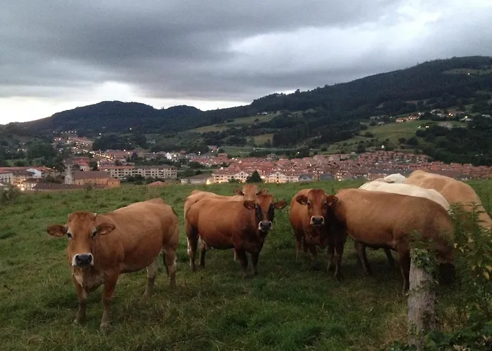 Rural Cantabria Vila *